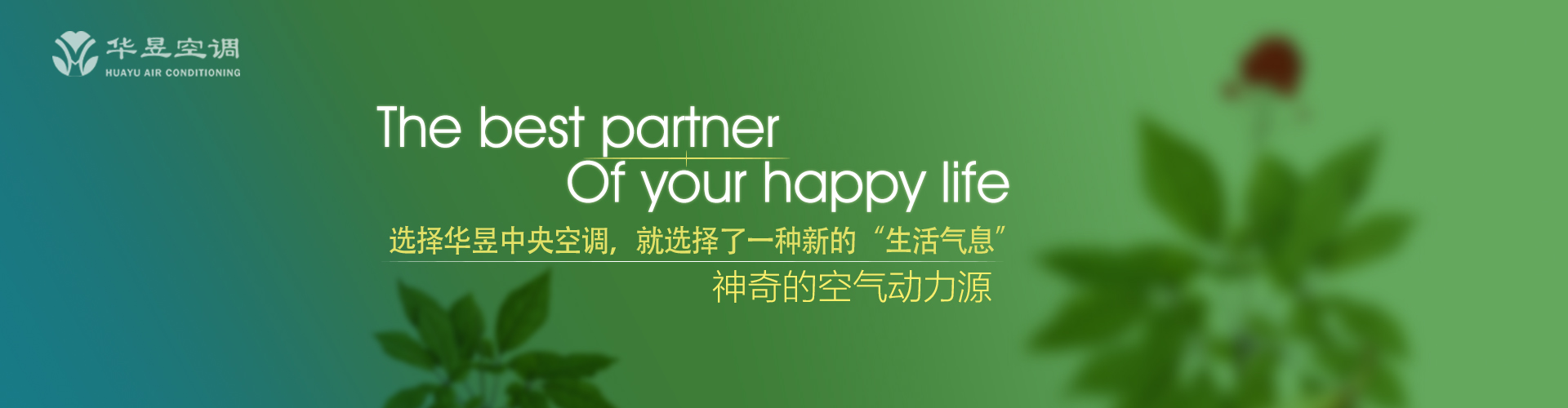 下落不明网